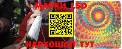стафф Бузулук