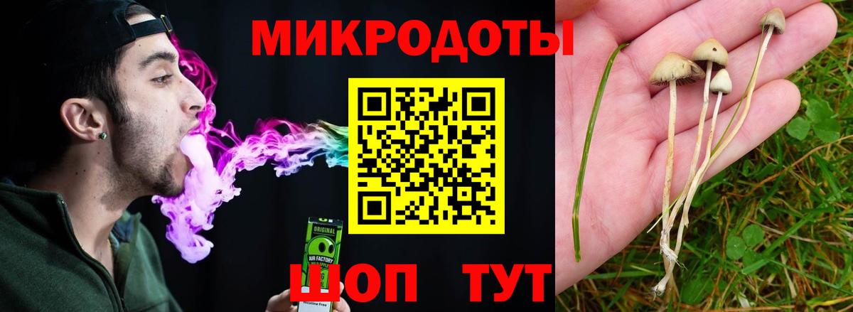 Псилоцибиновые грибы прущие грибы Нефтеюганск